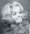 Mosley, Cynthia